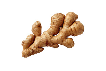 Close-up of a fresh ginger root.  A light brownish-tan,  segmented rhizome.  Isolated against black background