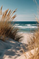 Beach Scene with Sandy Dunes and Tall Grass Facing Ocean Under Blue Sky