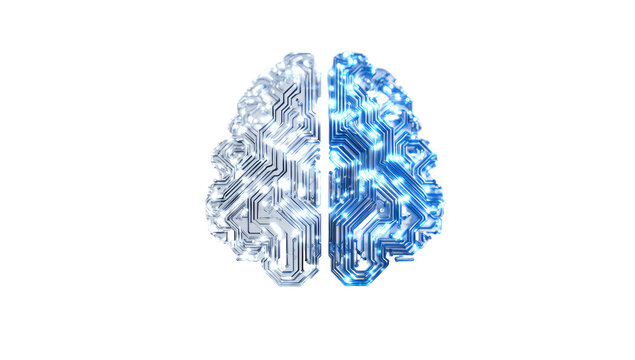 A stylized brain, split in two halves,  with circuit board-like patterns.  Light blue and light gray/silver tones