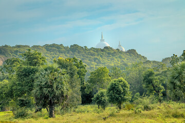 Naklejka premium Mihithale Maha Seya Stupa seen from the mountain range, Anuradhapura, Sri Lanka.