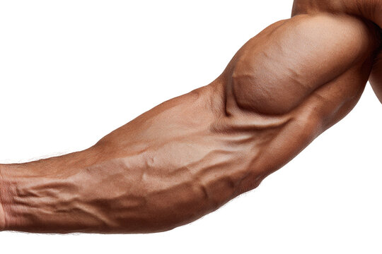 Close-up of a muscular arm, highly detailed veins and sculpted biceps, forearms