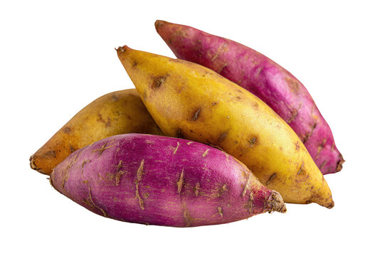 Close-up of three sweet potatoes, varying from deep purple to pale yellow,  grouped together.  Their smooth skins exhibit a blend of colors and textures