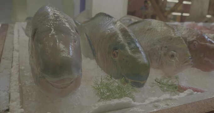 Sea fishes on ice in market grocery store shop. Freshly Caught parrot fish At Fish Market. Fresh fish on display on ice on fishermen market store shop. Seafood fresh fish