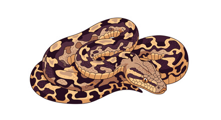 Fototapeta premium Realistic brown and black patterned snake lies coiled in a defensive position in a detailed wildlife illustration.
