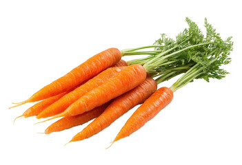 A bunch of fresh, vibrant orange carrots with green tops