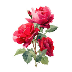 Vibrant red roses in watercolor style