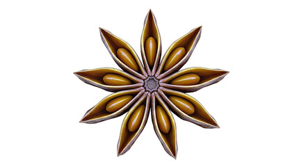 Single Star Anise Spice Pod