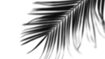 This abstract depiction of a single, perfectly smooth, solid black square floating in absolute...