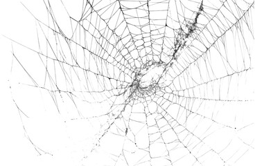 Obraz premium Extremely dark solid black color representing absolute absence of light or perhaps a severe technical display failure on transparent background