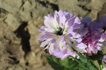 ライラックの花