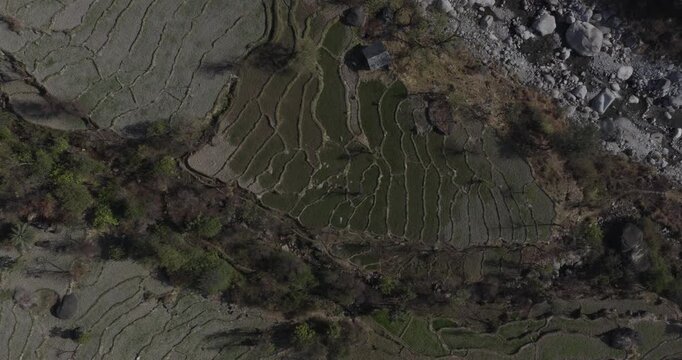 aerial view of terrace farms and plots in dharamshala himachal, 4k footage 
