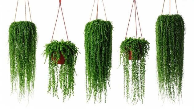 Venetian carnival mask at festival