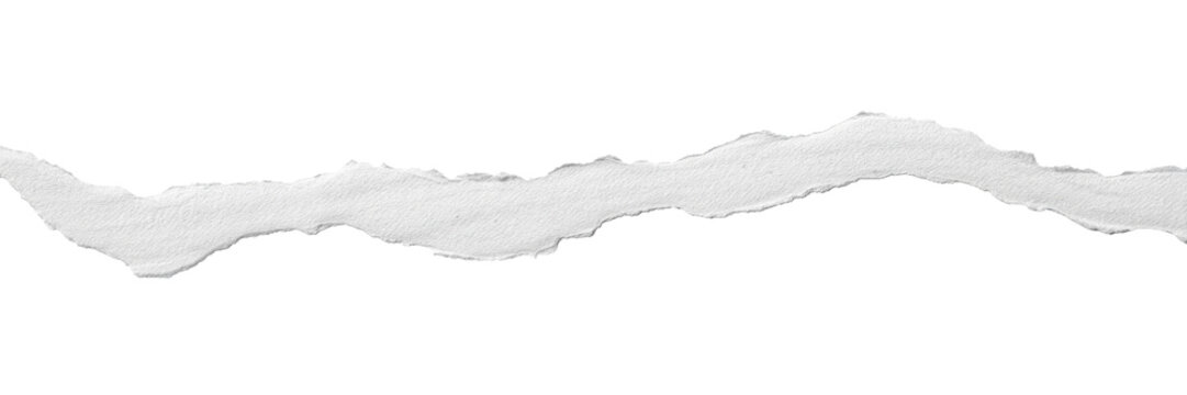 Clean Torn Paper Strip with Ripped Paper Paper Edge on White Paper Background, showcasing Paper Texture for Design Elements and Copy Space