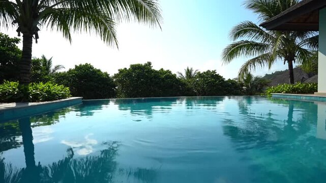 Tropical infinity pool resort with palm trees and lush green foliage