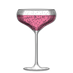 Wide coupe of pink champagne glass hand drawn color vector illustration in line art style. Retro cabaret sparkling wine sketch. Flirty festive drink. Vintage engraving for bars and menus.