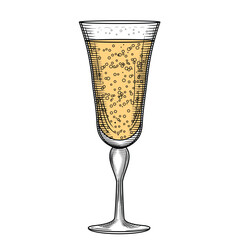 Tulip flute champagne glass hand-drawn vector illustration in line art style. Retro sparkling wine sketch. Flirty festive drink. Vintage engraving for bars and menus.