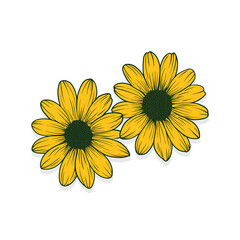 An elegant and beautiful watercolor flower is very suitable for wedding decoration purposes or as a wedding invitation element
