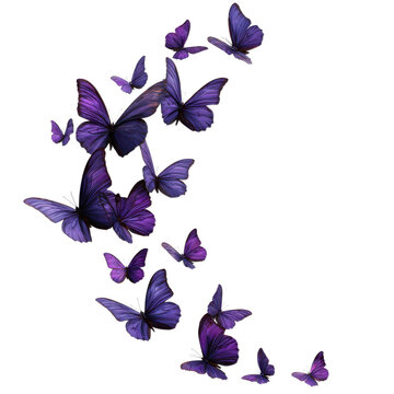 Butterflies fly in a swirl showing various shades of purple in a light background at different distances