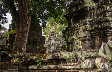 Fototapeta premium View of ancient stone temple tower and green trees seen through window opening of historic ruins in tropical jungle park