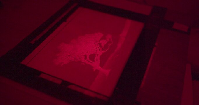 Creative control of photographic print through enlarger framing and focus adjustment in darkroom. Artistic analog photography process