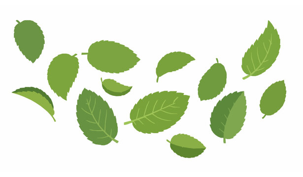 Flying green mint leaves realistic vector illustration isolated on transparent background