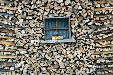 Holzvorrat mit Durchblick