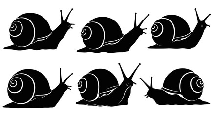 Vector silhouette illustration of a snail (conch) in various poses, crawling slowly with a clearly visible spiral shell. © MOCHRABBUL