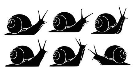 Vector silhouette illustration of a snail (conch) in various poses, crawling slowly with a clearly visible spiral shell. © MOCHRABBUL