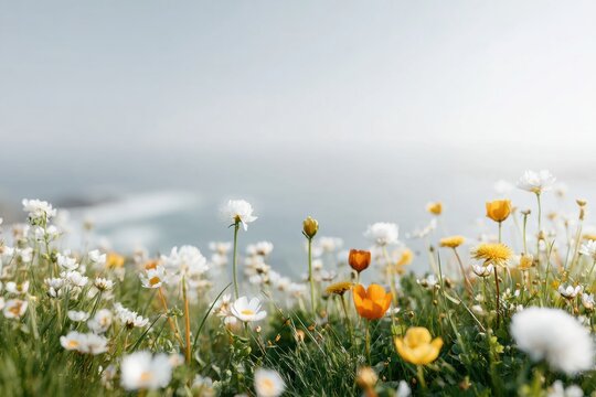 Blooming wild flowers in green field under soft morning light, natural meadow landscape for eco-friendly branding with copy space for web banner and garden background
