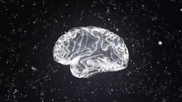 Digital Conceptual Model of Human Brain Plexus Structure Glowing Dots Rotating on Black Background