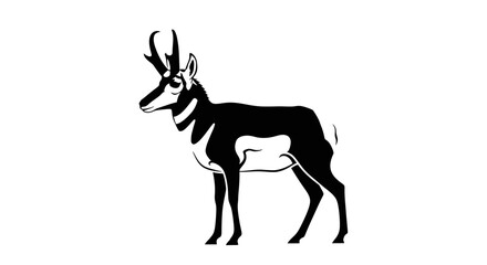 Black and White Illustration of Pronghorn Antelope.
