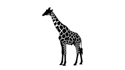 Naklejka premium a striking giraffe standing tall presented in a bold and graphic silhouette