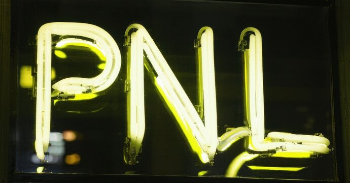 Bright neon sign displays letters PNL against dark background. Glowing illumination creates strong visual impact. Simple, bold design.
