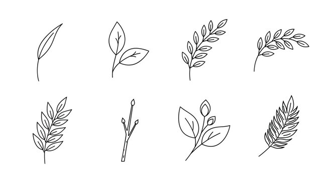Minimalist linear botanical designs with simple leaf outlines