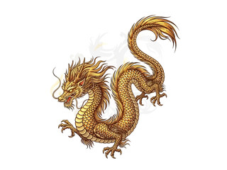 Fototapeta premium Golden chinese dragon illustration