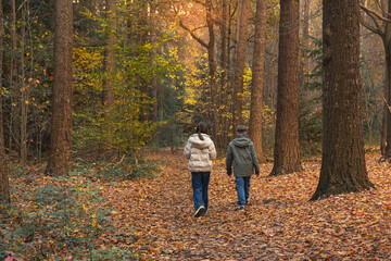 Fototapeta premium Teenagers walk together in a serene forest during autumn while surrounded by golden leaves and tall trees