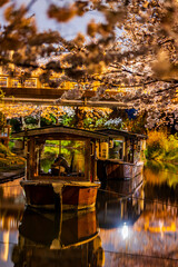 伏見十石舟 桜のある風景
