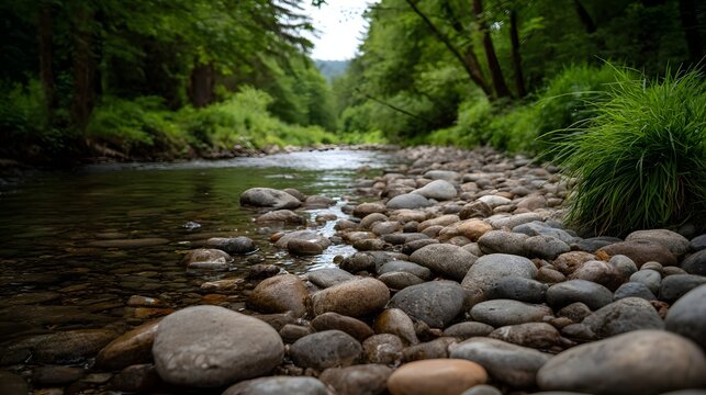 A serene forest stream flows over a bed of smooth wet river stones surrounded by lush green trees