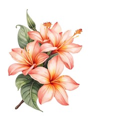 Fototapeta premium Vibrant Peach Hibiscus Bouquet with Large Green Leaves
