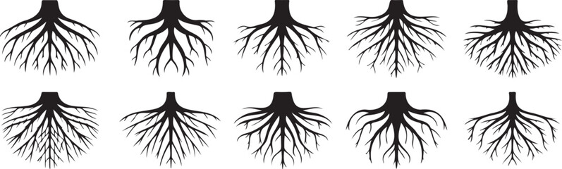 abstract animal footprint icons pattern black, wildlife track symbols isolated, nature trail graphic elements