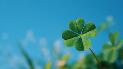 Single Four Leaf Clover Against Blue Sky Background with Copy Space, Luck and Spring Nature Concept