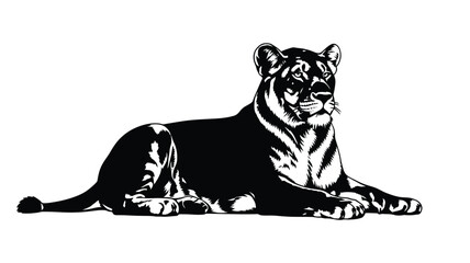 a striking black and white lioness lying down powerful and graceful silhouette © DELRUBA