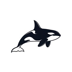 Obraz premium Majestic orca swimming in ocean waters with dynamic movement