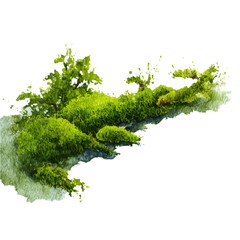 Naklejka premium watercolor of Moss, vector, isolated on a white background.