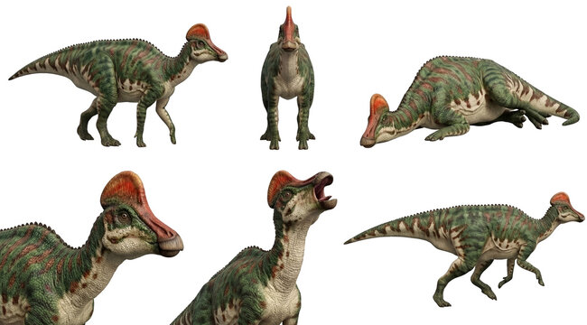 set of a corythosaurus in different poses, standing, running, lying isolated on a transparent background