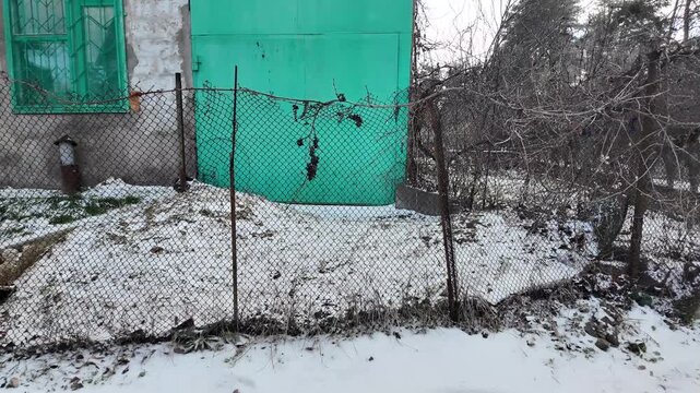Rusty chain-link fence in a snowy winter garden, young tree sapling tied to post, green shed in background. Snow-covered ground, dry grass, berries, cold rural backyard atmosphere.