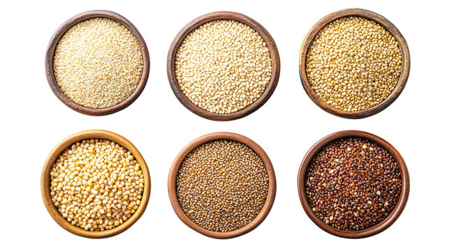Sorghum millet quinoa buckwheat teff and rice six bowls of grains on transparent background
