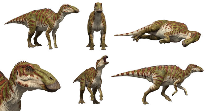 set of a maiasura in different poses, standing, lying, running isolated on a transparent background