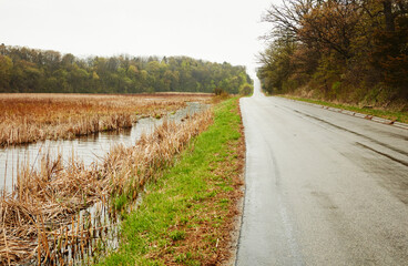 Obraz premium Travel, road and environment with countryside or nature for adventure, journey and landscape. Destination, holiday route and vacation with street or path outdoor for trees, wilderness and exploration