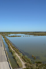 Fototapeta premium Vue des marais en Camargue - Occitanie - France